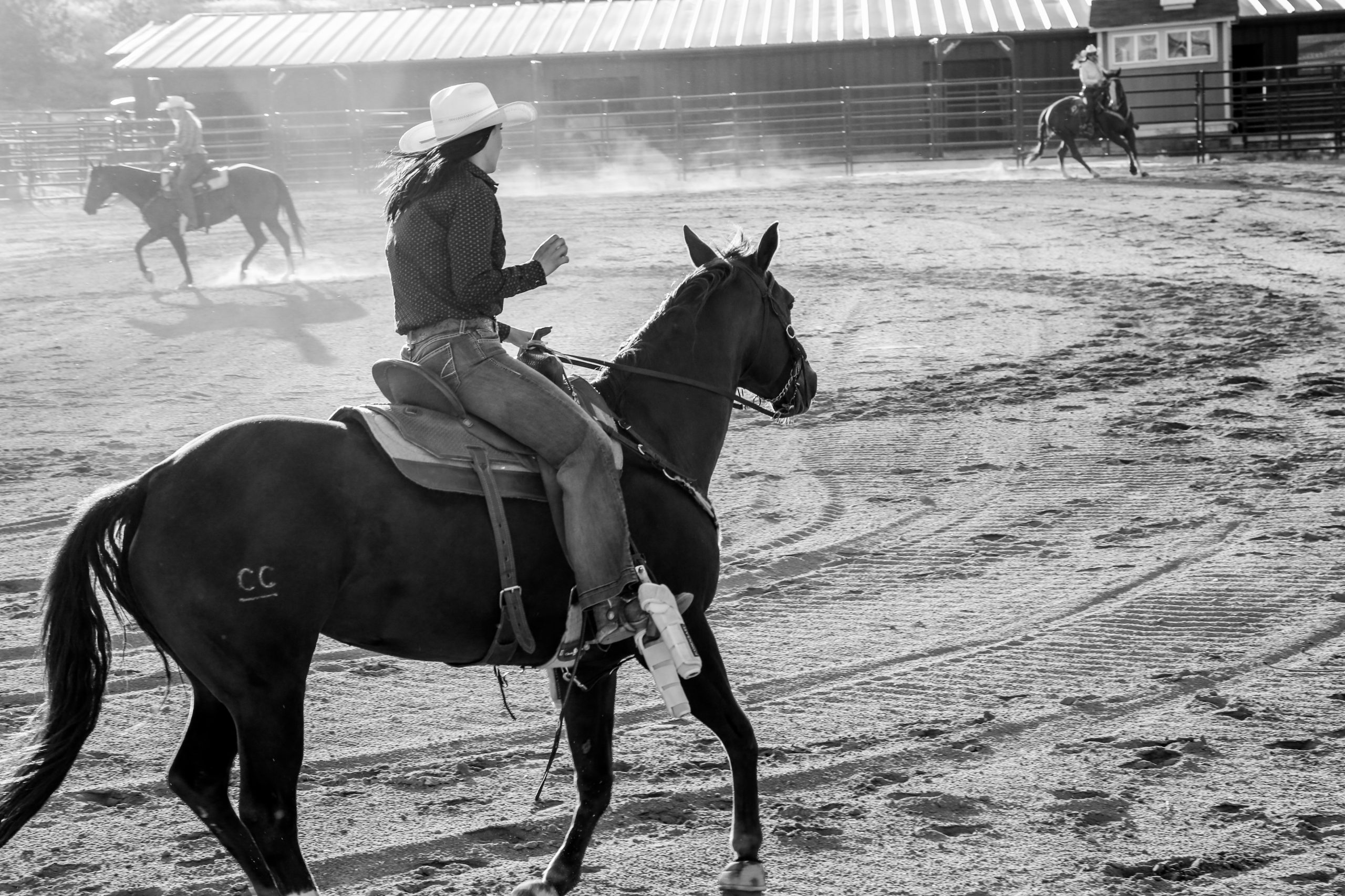 SUSANNAH DOWELL PHOTOGRAPHY